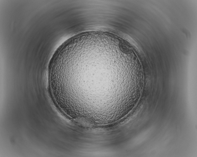 X0000112761079200909031542