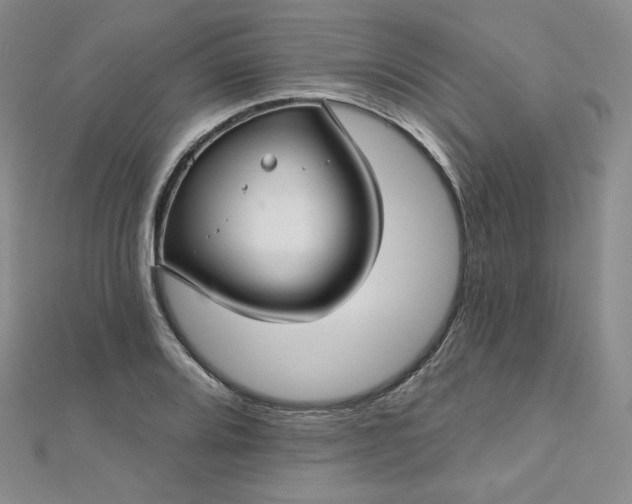 X0000112761080200909031542