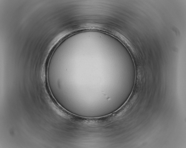 X0000112761082200909031542