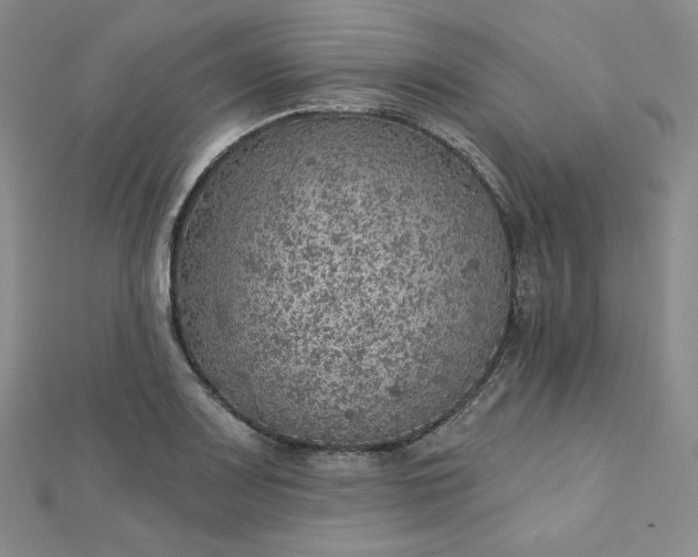 X0000112761083200909031542