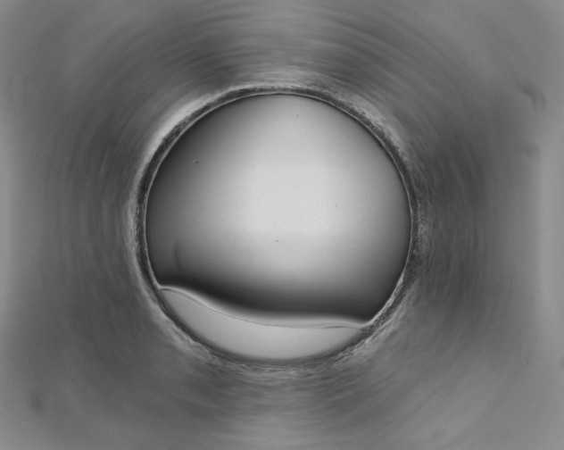 X0000112761085200909031542