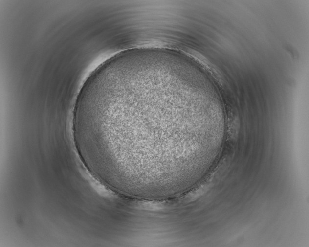 X0000112761086200909031542
