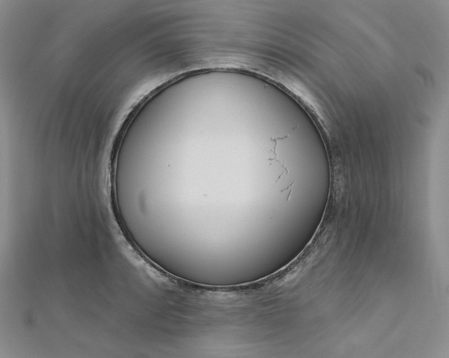 X0000112761088200909031542