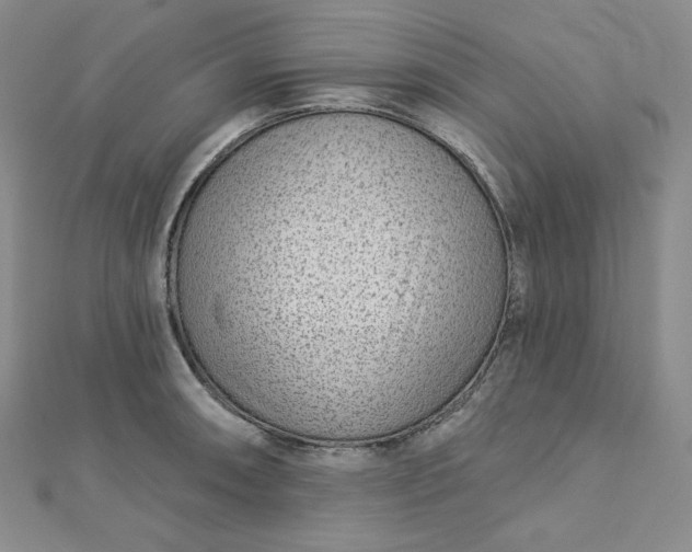 X0000112761090200909031542