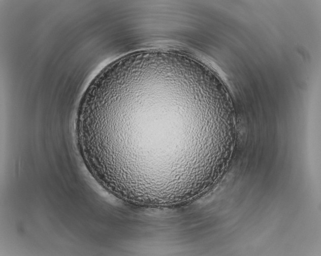 X0000112761091200909031542