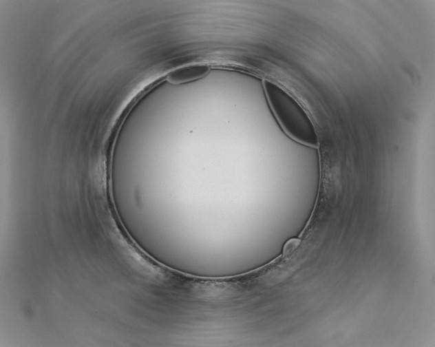 X0000112761092200909031542