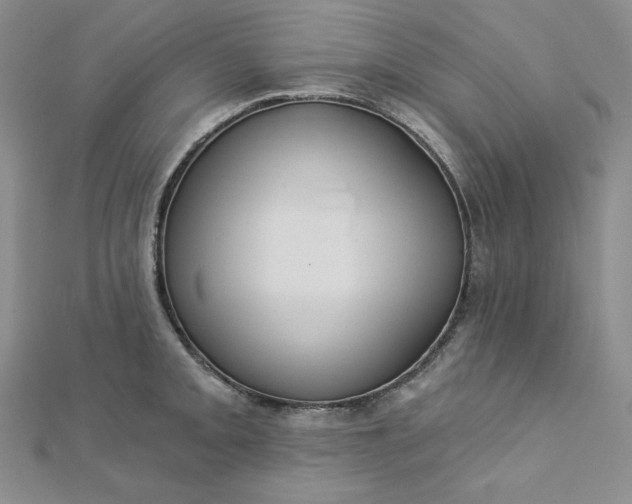 X0000112761093200909031542