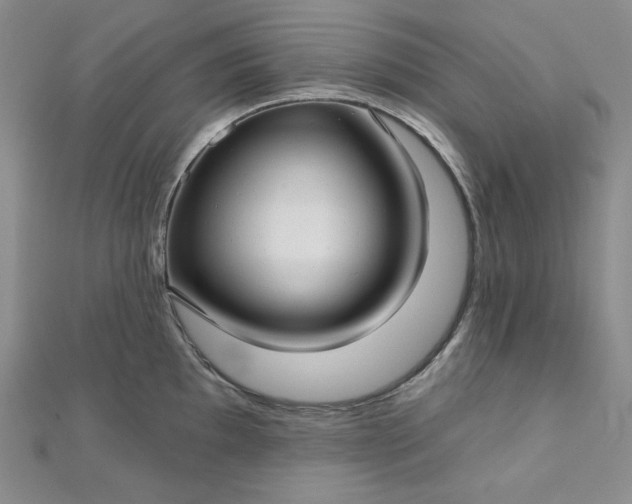 X0000112761097200909031542