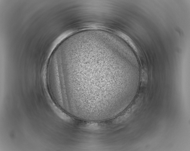 X0000112761098200909031542