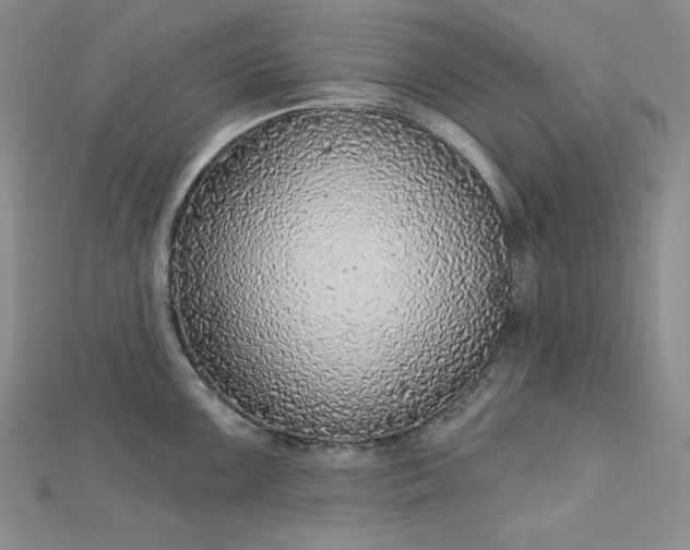 X0000112761099200909031542