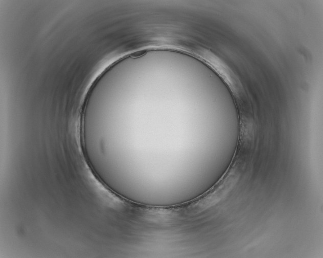 X0000112761100200909031542