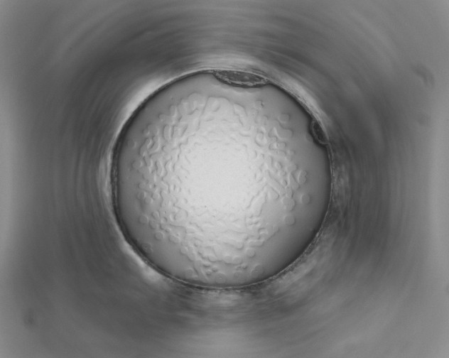 X0000112761103200909031542