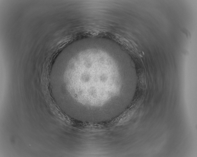 X0000112761105200909031542