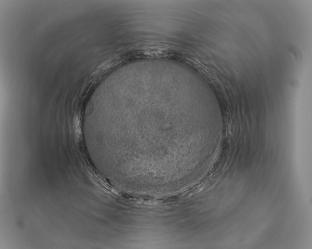 X0000112761106200909031542