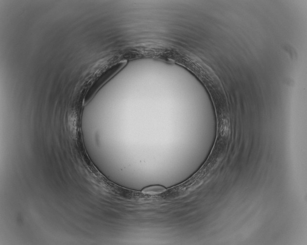 X0000112761108200909031542