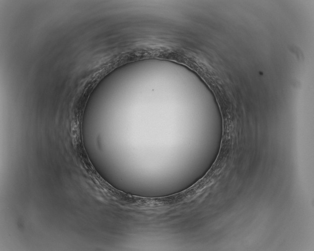 X0000112761109200909031542