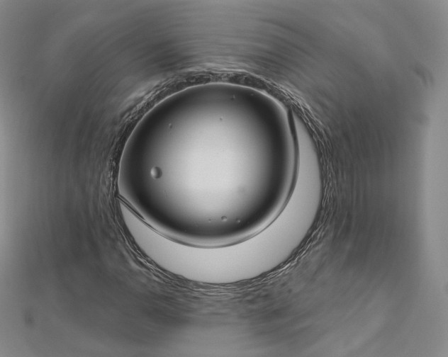X0000112761110200909031542