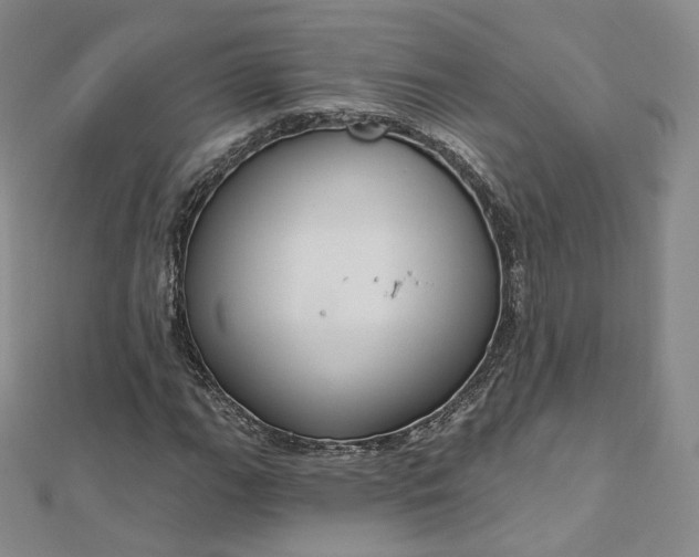 X0000112761111200909031542