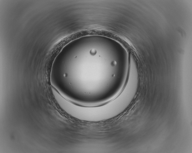 X0000112761112200909031542