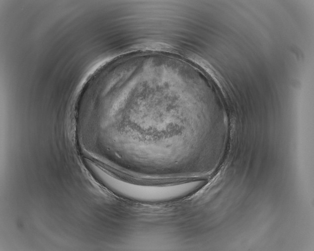 X0000112761115200909031542