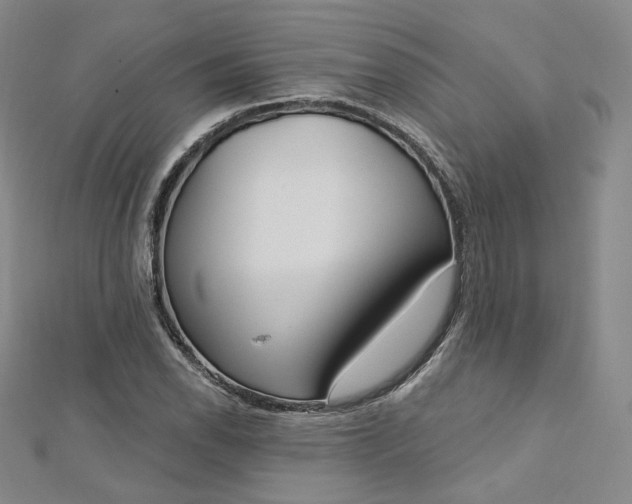 X0000112761118200909031542