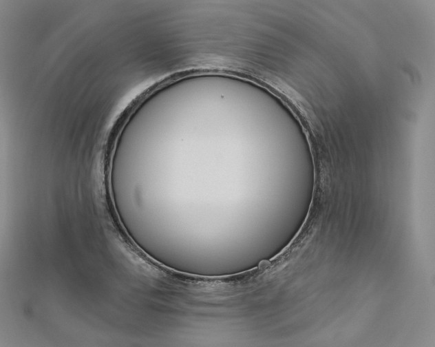 X0000112761120200909031542
