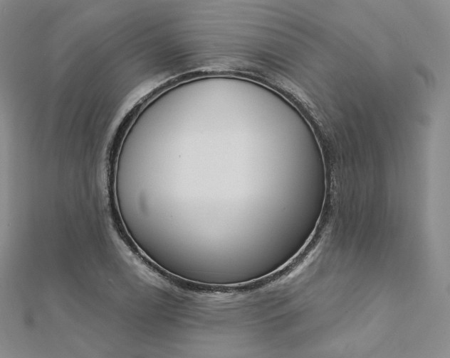 X0000112761122200909031542