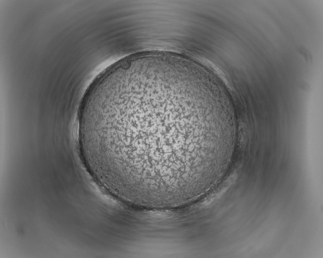 X0000112761125200909031542