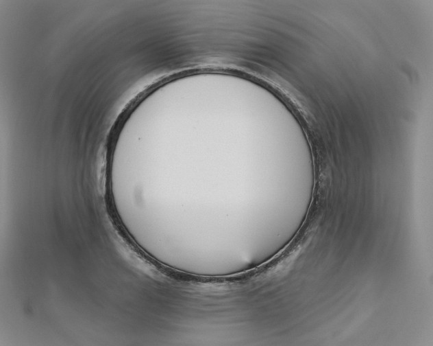 X0000112761126200909031542