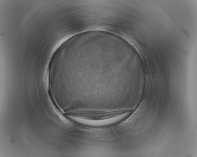 X0000112761127200909031542