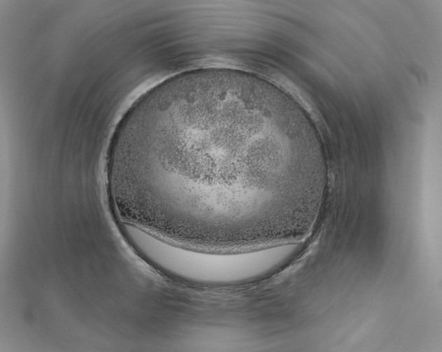 X0000112761133200909031542