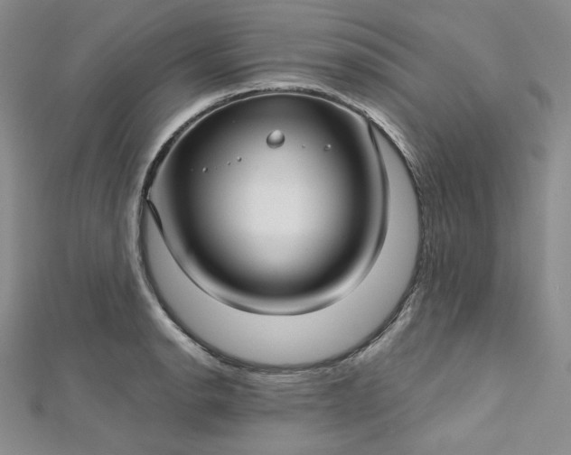 X0000112761134200909031542