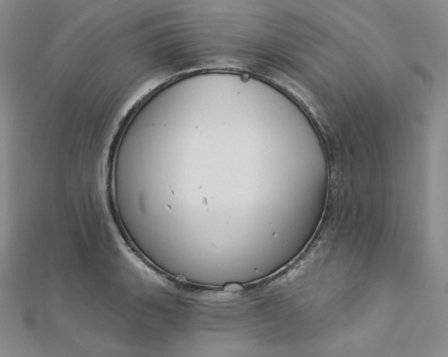 X0000112761135200909031542