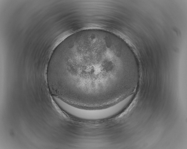 X0000112761137200909031542