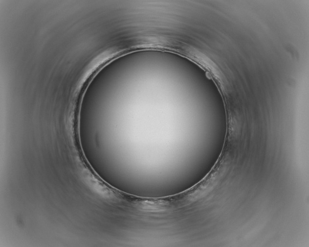 X0000112761138200909031542