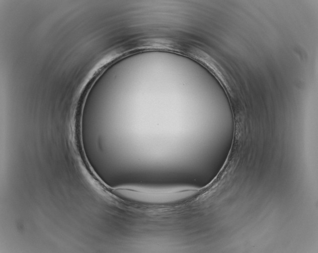 X0000112761139200909031542