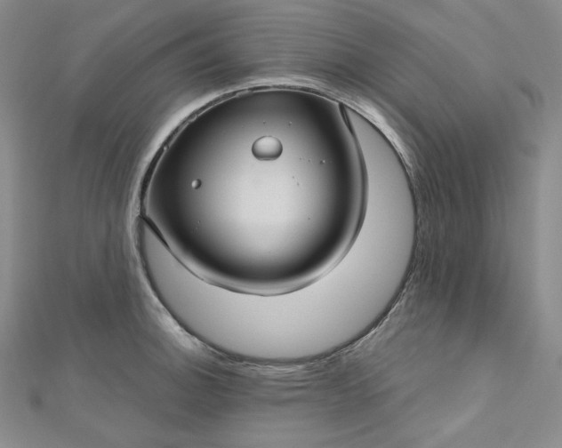 X0000112761140200909031542