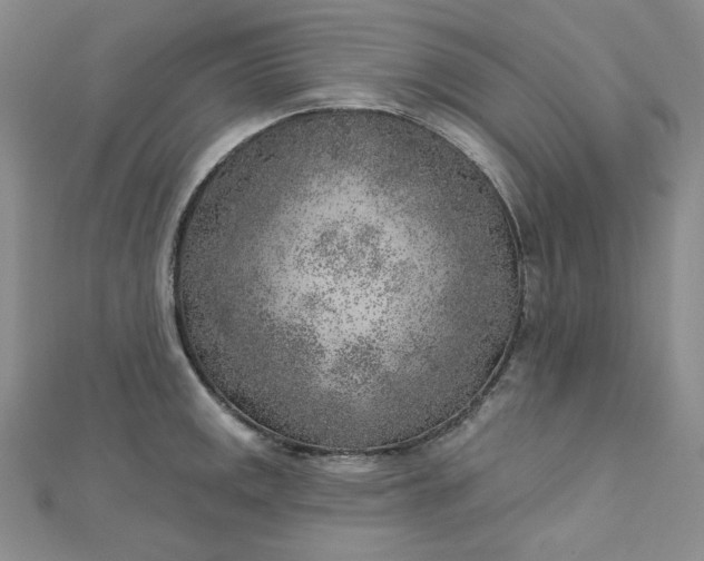 X0000112761141200909031542