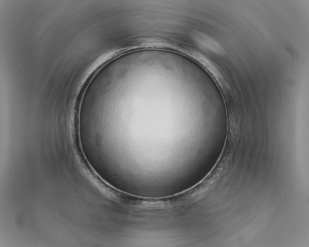 X0000112761142200909031542