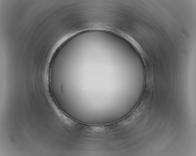 X0000112761144200909031542