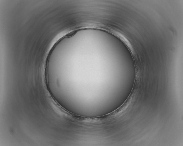 X0000112761146200909031542