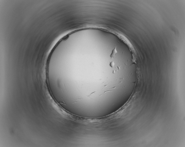 X0000112761148200909031542