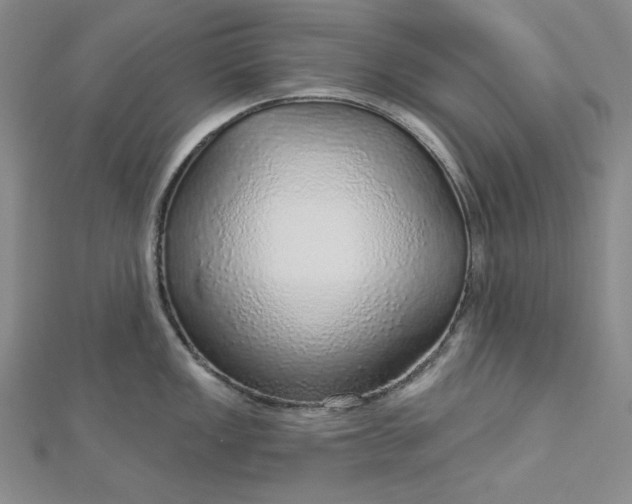 X0000112761149200909031542
