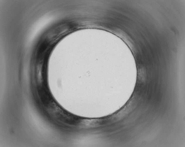 X0000112761150200909031542