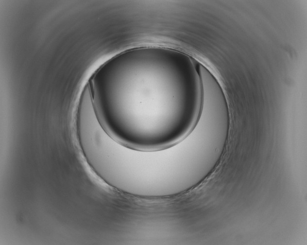 X0000112761152200909031542