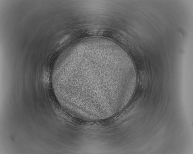 X0000112761154200909031541