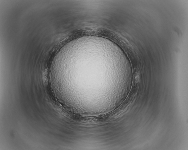 X0000112761156200909031541
