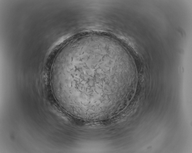 X0000112761159200909031541