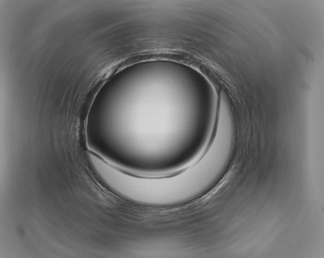 X0000112761161200909031541