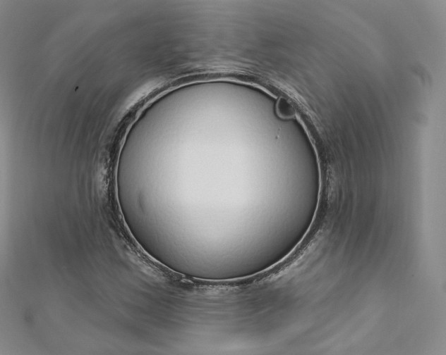 X0000112761163200909031541